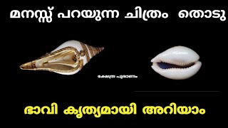 രണ്ടിൽ ഒന്ന് തൊടു ഭാവി കൃത്യമായി അറിയാം. Thodukuri shastram. jyothisham Malayalam