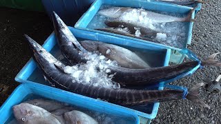 Fresh catch at the fish market