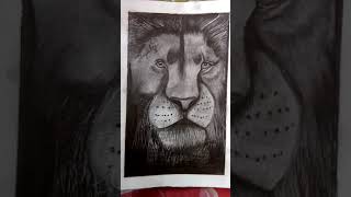 How to Draw Lion Easy Step By Step #short#lion