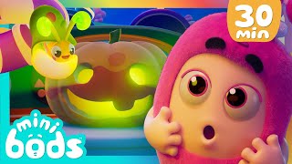 Mystery Halloween Pumpkin 🎃 Halloween with Minibods 🎃 30 Minutes of Minibods | Preschool Cartoons