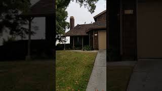 Wild Turkeys Flying from Ground Up To Roof