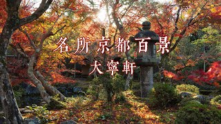 日本庭园之心｜京都秘境｜限定公开的南禅寺塔头｜名所京都百景｜大宁轩｜大寧軒