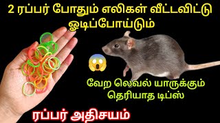 2 ரப்பர் band போதும் எலிகள் வீட்டவிட்டு ஓடிப்போய்டும்/how to get rid of mouse/ kitchen tips tamil