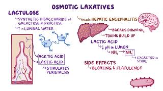 Osmotic laxatives GIT pharmavology /osmosis/@selflessmedicose @SpeedPharmacology