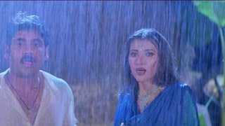 Nagarjuna,Sakshi Sivanand Romantic Scene || Sitaramaraju Movie || Harikrishna,Nagarju