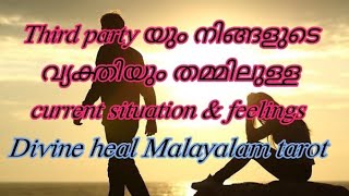 Thirdparty Reading ❤️‍🔥തേർഡ് പാർട്ടിയും നിങ്ങളുടെ വ്യക്തിയും തമ്മിലുള്ള ഇപ്പോഴത്തെ സിറ്റുവേഷൻ 🧿✨😇🪬