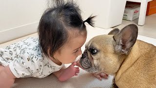 Memories That Nearly Made Me Cry | My Dog Loves Our Baby