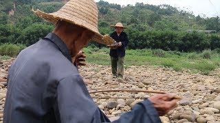 一头牛，一头猪对战一个老师傅，搞笑的画风烧出人间美味经典合辑