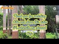 waghai botanical garden dang south gujarat tour part three