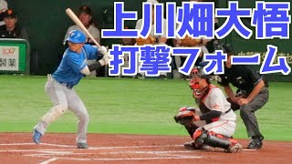 上川畑大悟 バッティングフォーム(スローあり)【日本ハム】