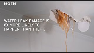 Moen Flo Did You Know