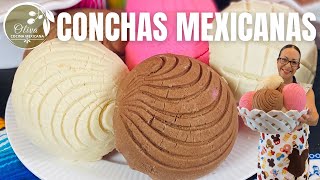 Conchas Mexicanas en 3 Minutos!