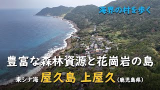 Abundant forest resources and stone islands /East China Sea Yakushima (Kagoshima Prefecture)