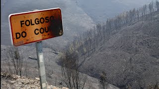 La UME lucha contra las llamas en Folgoso (Lugo)