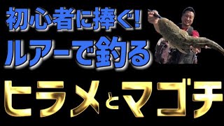 【ヒラメとマゴチ】初心者に捧げる！食べて美味なルアー釣り！