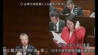 平成29年12月定例会 3日目 12月11日 2 畑中ゆう子議員 一般質問