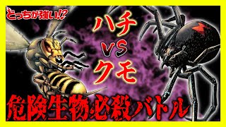 【どっちが強い】危険生物の必殺バトル！ハチvsクモの虫界最強対決に勝つのは...？【漫画】