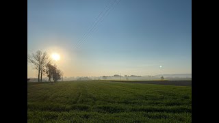 Poranek w Łące - 28.04.2020