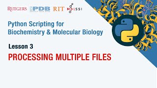 Processing Multiple Files