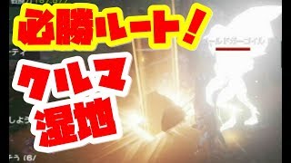 【リネージュ2】激ウマ！トレハンイベント。クルマの湿地での必勝ルート　リネージュ2 レボリューション【naotin】