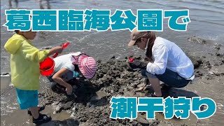 [Shellfishing] What would happen if you went clamming at Kasai Rinkai Park on a spring tide day?