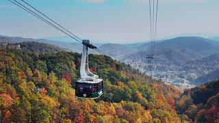 Visit Gatlinburg this Fall - The Mountains Are Calling