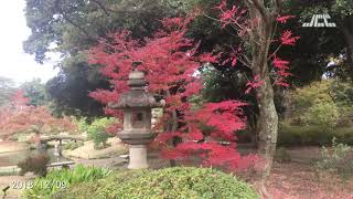 秋の六義園・庭園（2018年12月9日） （4K）