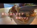 【兵庫県／丹波篠山市】丹波篠山城下町で食べ歩き。焼き栗、お蕎麦、焼きおにぎり、黒豆ソフト、モンブランソフトを堪能 🌰