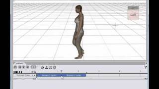 aniMate2: New to aniMate: 10. Reverse