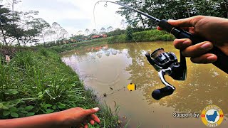 Mancing Santai Sore Hari Mencari Sambaran Haruan || Casting Ikan Haruan || Street Fishing