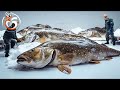 Salt Cod Factory, How a Norwegian factory processes millions of cod each year - Processing Factory