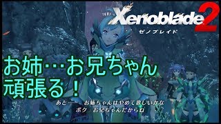 自然を守るためにお姉ち…お兄ちゃん頑張る！　ホタルブレイドクエスト「ナチュラル」後編　ゼノブレイド2実況プレイPart112