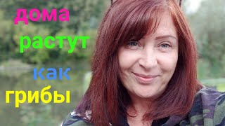 ❤️ Кишинёв любимый город /Чеканы растут не по дням,а по часам .💐❤️