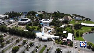 County to issue Miami Seaquarium new Notice of Default after shortage of ‘trained employees’
