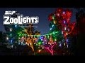 Let It Glow - ZooLights at the Phoenix Zoo!