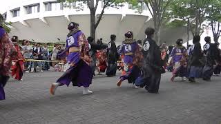 よさこい祭り2017原宿＠百物語 NHK前ストリート