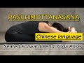 Paschimottanasana | Seated Forward Bend Yoga Pose | Steps | Benefits | Yogic Fitness |Shubh om yoga