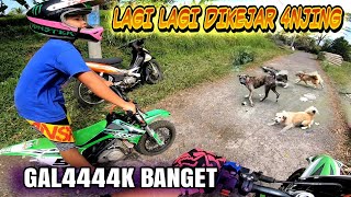 DIKEJAR 4NJ1NG LAGI?!! KITA MENJADI TARGET MEREKA !! Minitrail 50 cc | MOTOVLOG BALI | KOCAK ABIS