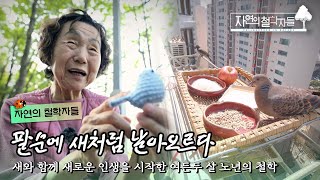 노년에 새들을 만나며 인생이 바뀐 여든두 살 맹순씨의 자연 철학｜#자연의철학자들 KBS1 매주 금 방송｜[국내여행] 20230505