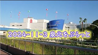 泉ヶ丘のアドバルーンと、泉北高速鉄道をぶらっと 2024-11-3