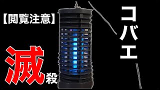 【コバエ対策】屋内用電撃殺虫器の使用感と注意点【オーム電機】　爬虫類　OBK-04SB