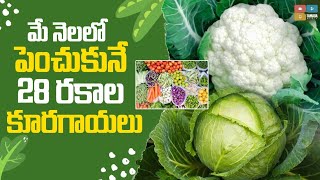 మే నెలలో పెంచుకునే ఆకుకూరలు కూరగాయలు || May vegetables || vegetables Grows in May month in Telugu