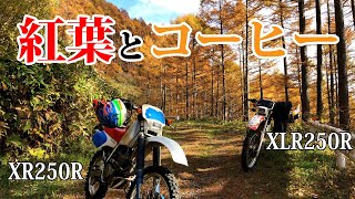 紅葉とコーヒー　XR250　XLR250    林道ツーリング　[モトブログ]