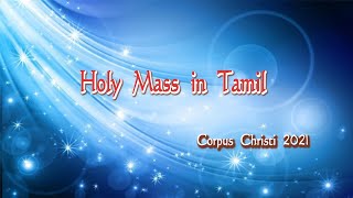 இயேசுவின் திருவுடல் திரு இரத்த பெருவிழா திருப்பலி | Holy Mass | Corpus Christi