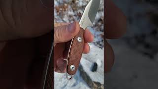 KIZER MUSKRAT!! S35VN!!#edc #pocketfixedblade #bushcraft #survival #knifestuffwedo #neckknife