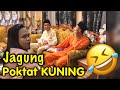 JAGUNG Poktat KUNING