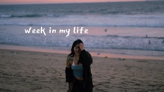 uni life vlog ⸺ get to know me, productive tasks + slow days, classes at chapman university