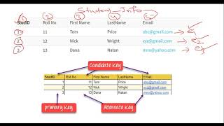 Primary Key for Entity set