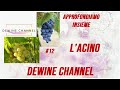 APPROFONDIAMO INSIEME #12 - L'ACINO