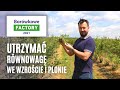 Utrzymać równowagę we wzroście i plonie w uprawie borówki